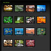 Free photo gallery
